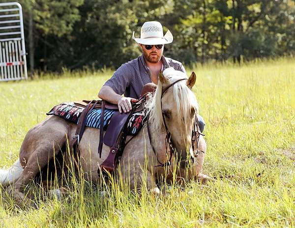 trail-quarter-horse