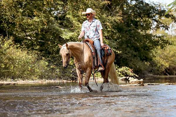 ranch-quarter-horse