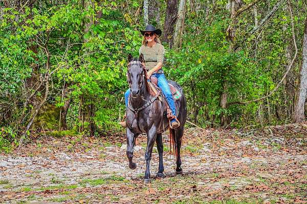 flashy-quarter-horse