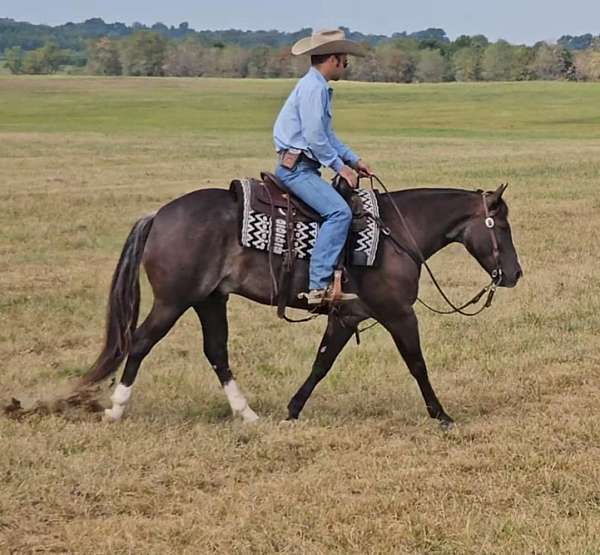 beginner-safe-quarter-pony