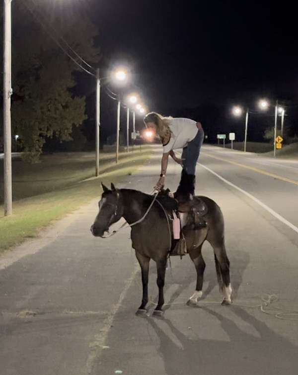 beginner-safe-kid-pony-quarter-horse