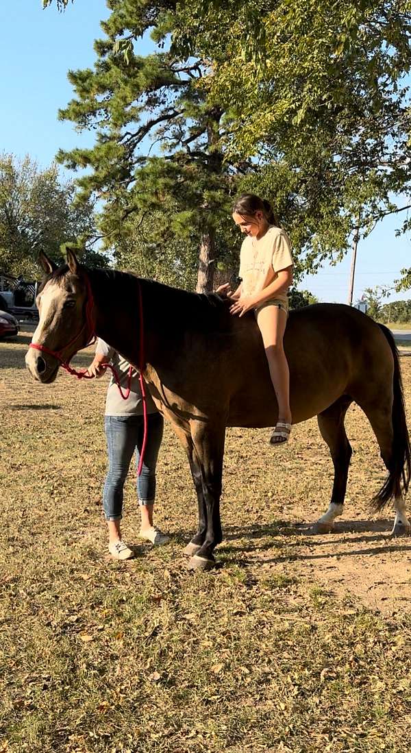 boy-quarter-horse