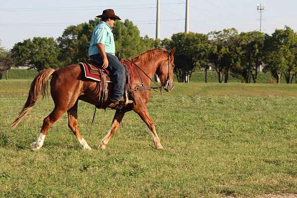 sliding-gelding