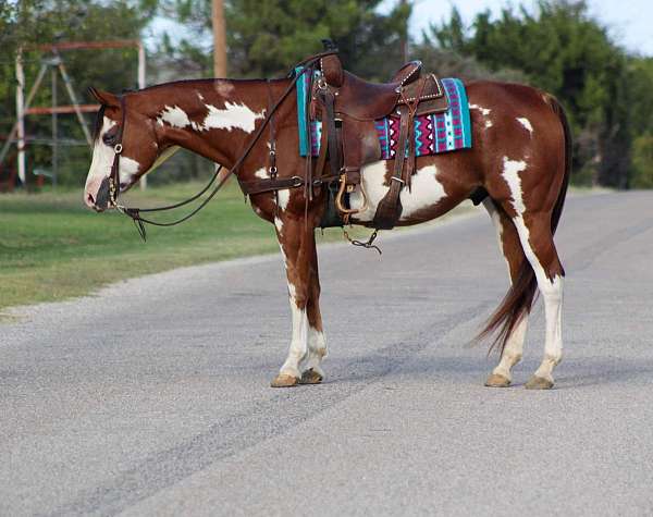 chestnut-blaze-horse