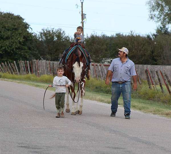 beginner-safe-quarter-horse