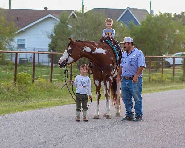 ranch-work-quarter-horse