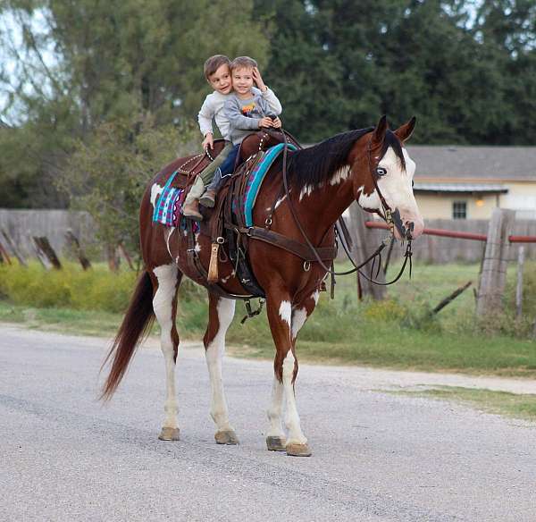 family-horse-quarter