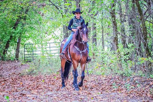 ranch-work-quarter-horse