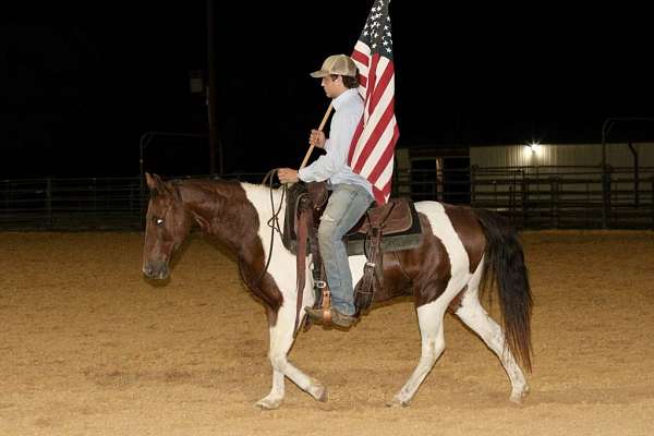 ranch-work-quarter-horse