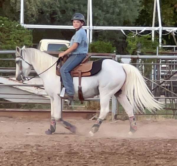 white-with-grey-paint-markings-horse