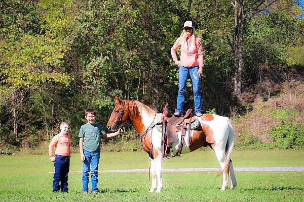 all-around-paint-horse