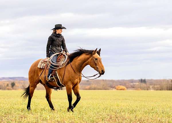 christmas-draft-horse