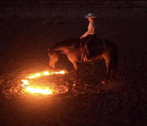 ball-draft-horse