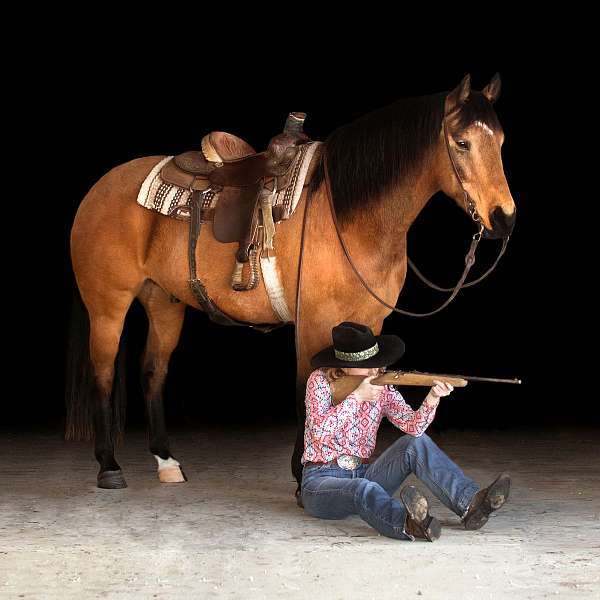 beautiful-buckskin-draft-horse