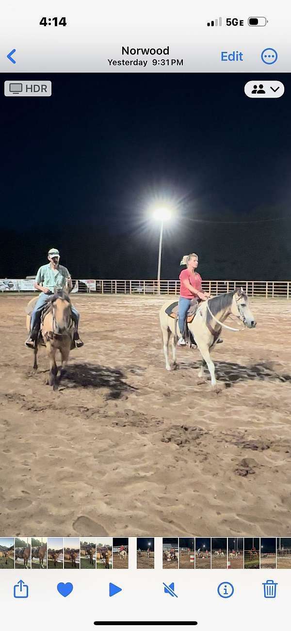 buckskin-overo-cowboy-mounted-shooting-pony