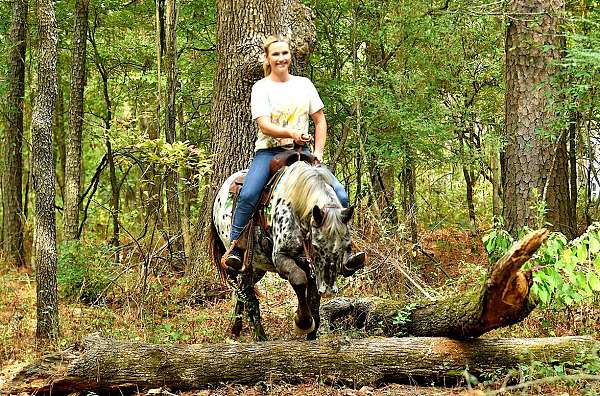 natural-ponymanship-training-poa-pony