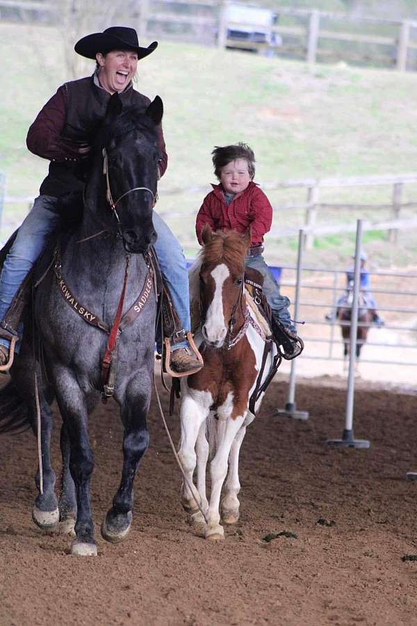 trail-riding-quarter-horse