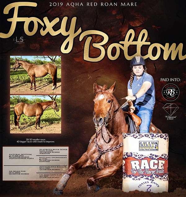 red-roan-roan-aqha-mare-yearling