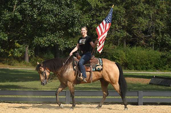 trail-horse-quarter