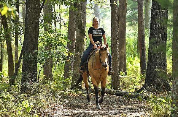 sweet-quarter-horse