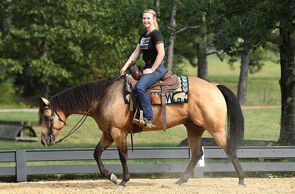 flashy-quarter-horse