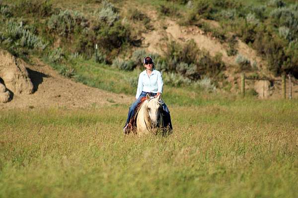 ranch-horse-quarter