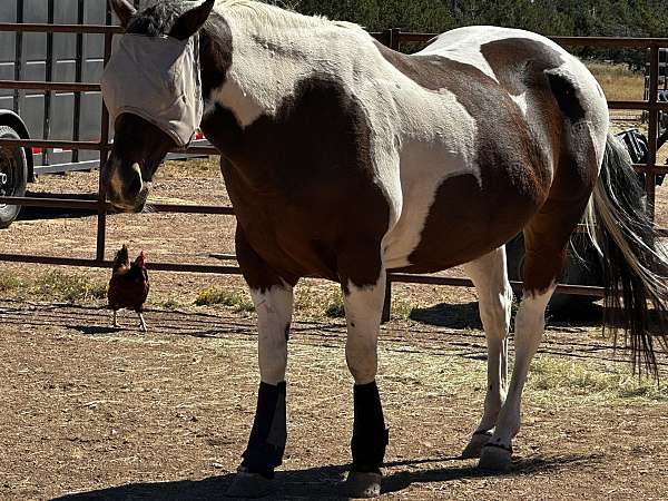 family-horse-paint