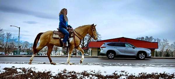 ridden-western-quarter-pony