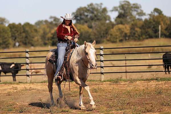 beginner-safe-quarter-horse