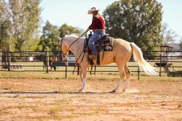 ranch-work-quarter-horse