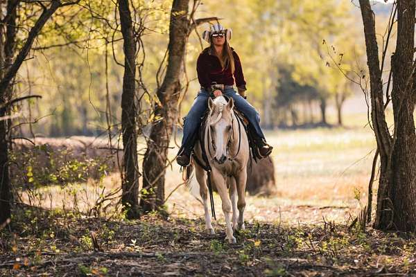 all-around-quarter-horse