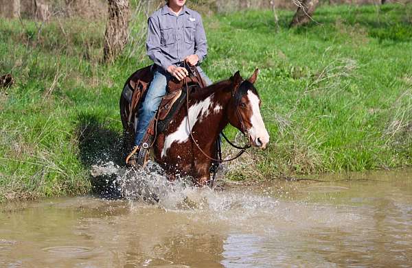 ranch-work-quarter-horse