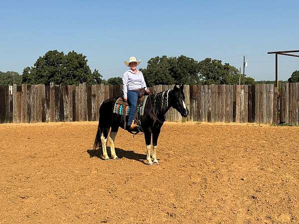 athletic-quarter-horse