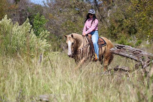 beginner-quarter-horse