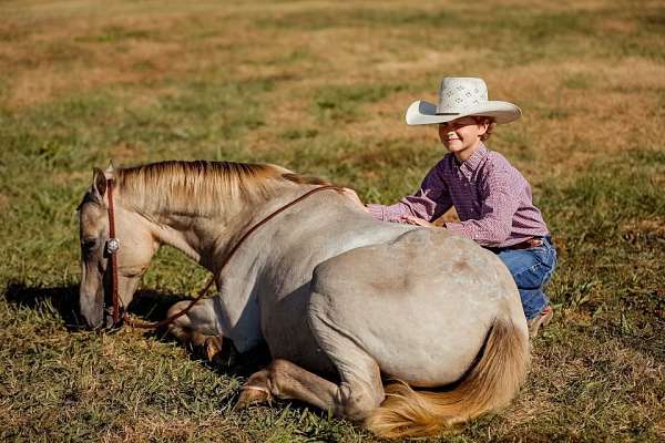 family-horse-quarter