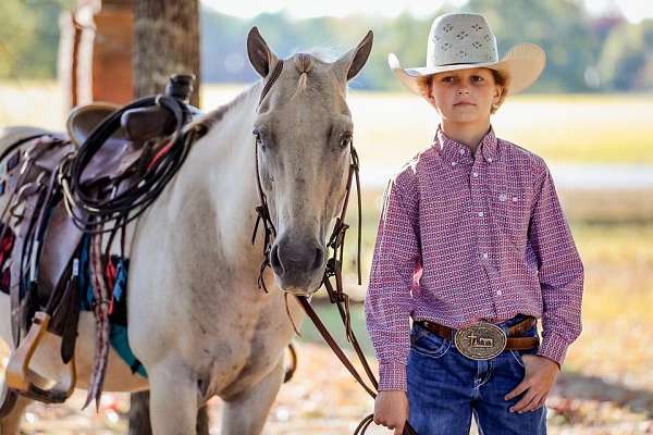 ranch-work-quarter-horse