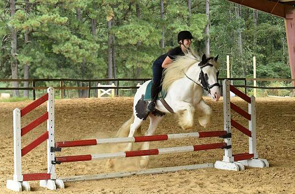 kid-safe-gypsy-vanner-horse