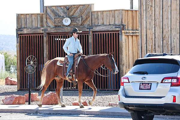 flashy-quarter-horse