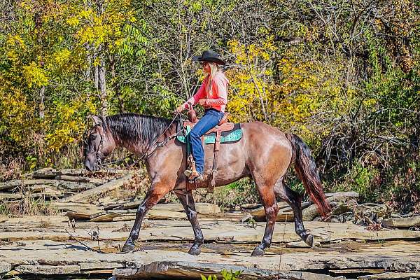 kid-safe-quarter-horse