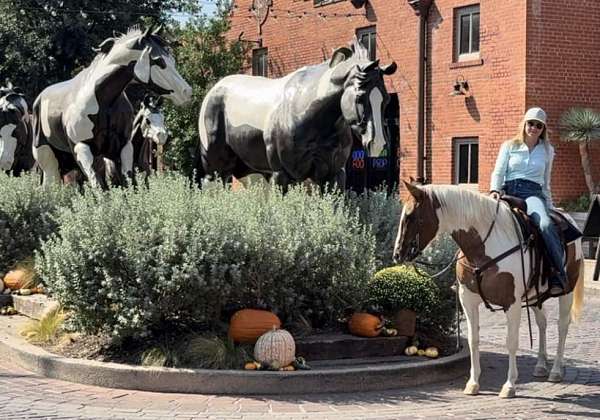 all-around-quarter-horse