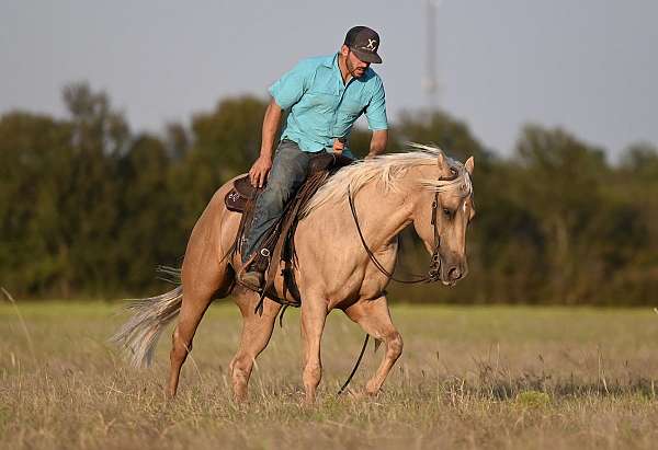 ranch-versatility-quarter-horse