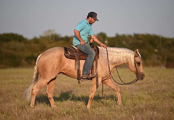 roping-quarter-horse