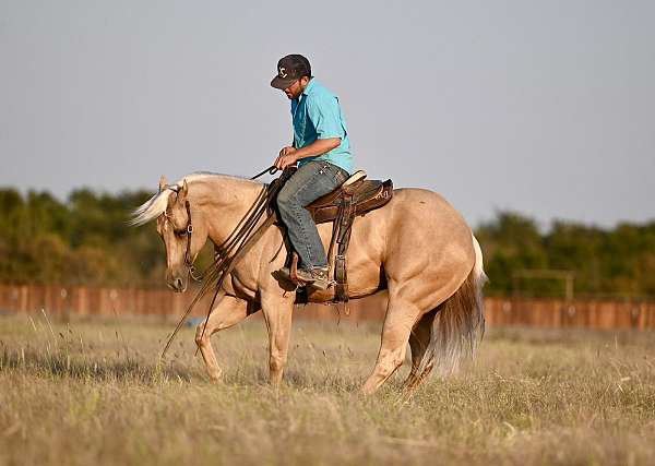 trail-riding-quarter-horse