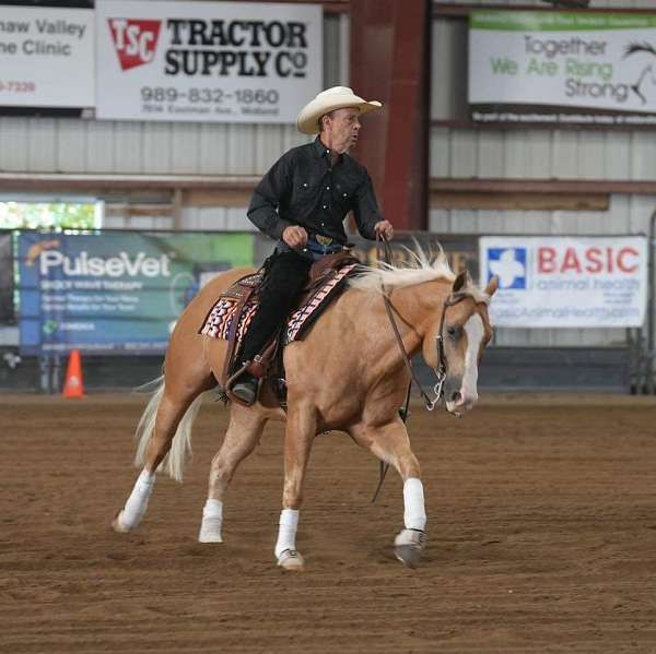 ranch-versatility-quarter-horse