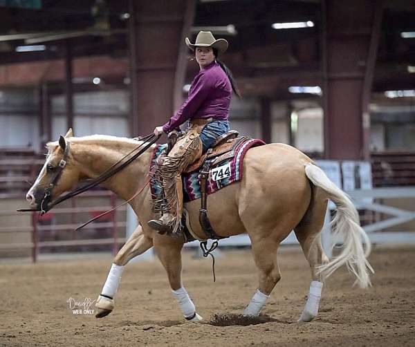 reining-quarter-horse