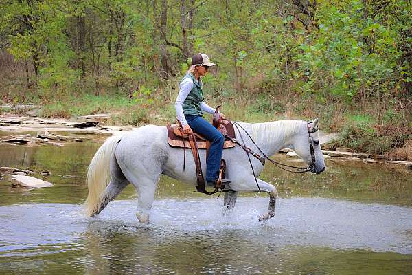 all-around-quarter-horse