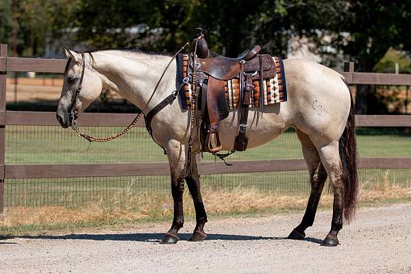 barrel-racing-quarter-horse