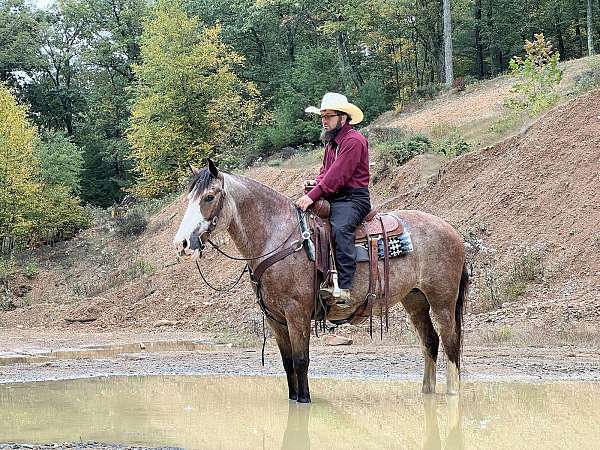 husband-safe-belgian-horse