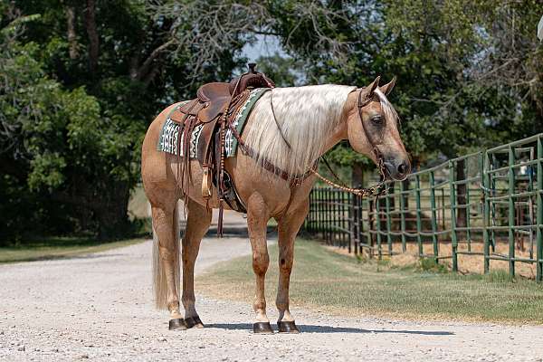 flashy-quarter-horse