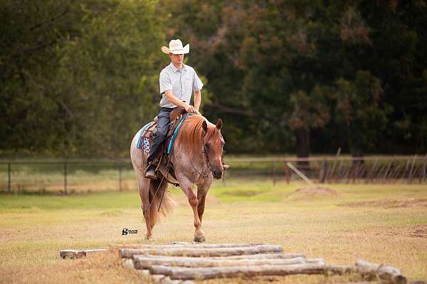 trail-riding-quarter-horse